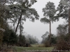 DSC03358_DxO