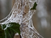 DSC03364_DxO