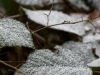 DSC03372_DxO