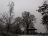 DSC03374_DxO