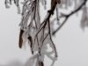 DSC03378_DxO