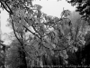DSC03383_DxO_1
