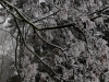 DSC03384_DxO_2