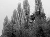 DSC03387_DxO_1