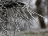 DSC03398_DxO