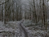 DSC03412_DxO