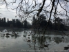IMG_5461_DxO