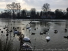 IMG_5466_DxO