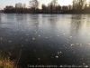 IMG_5471_DxO