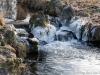 DSC03424_DxO