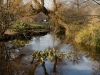 DSC03431_DxO