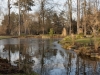 DSC03435_DxO