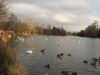 IMG_5488_DxO_3
