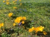 IMG_5578_DxO