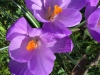 IMG_5583_DxO