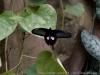 DSC03539_DxO