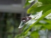 DSC03544_DxO