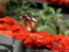 DSC03545_DxO