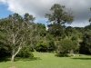 DSC03548_DxO