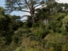DSC03549_DxO
