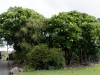 DSC03554_DxO