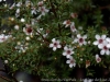 DSC03623_DxO