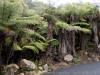 DSC03630_DxO