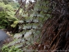 DSC03632_DxO
