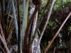 DSC03633_DxO