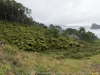 DSC03639_DxO