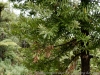 DSC03643_DxO