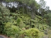 DSC03644_DxO