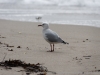 DSC03658_DxO
