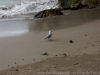 DSC03671_DxO