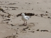 DSC03673_DxO