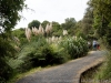 DSC03679_DxO