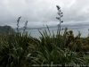 DSC03681_DxO
