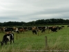 DSC03690_DxO