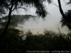 DSC03826_DxO