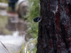 DSC03840_DxO