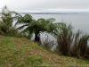 DSC03910_DxO