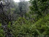 DSC03913_DxO