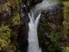 DSC03920_DxO