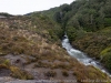 DSC03921_DxO