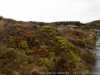 DSC03923_DxO