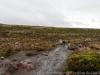 DSC03936_DxO