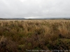 DSC03944_DxO
