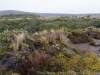 DSC03948_DxO