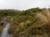 DSC03949_DxO