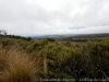 DSC03954_DxO
